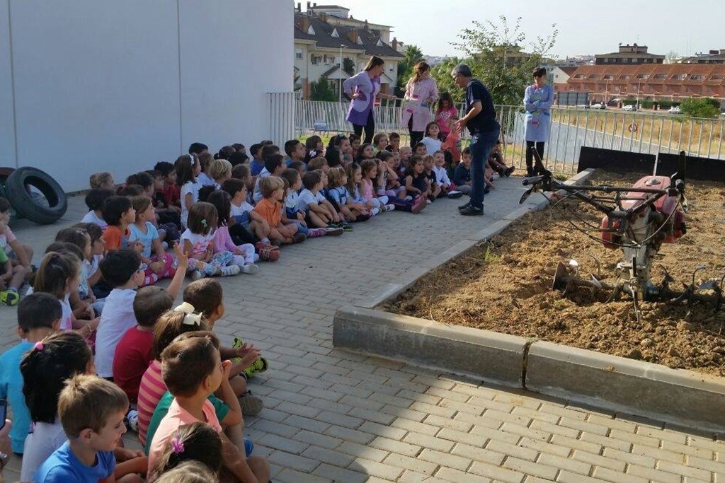 Huertos educativos