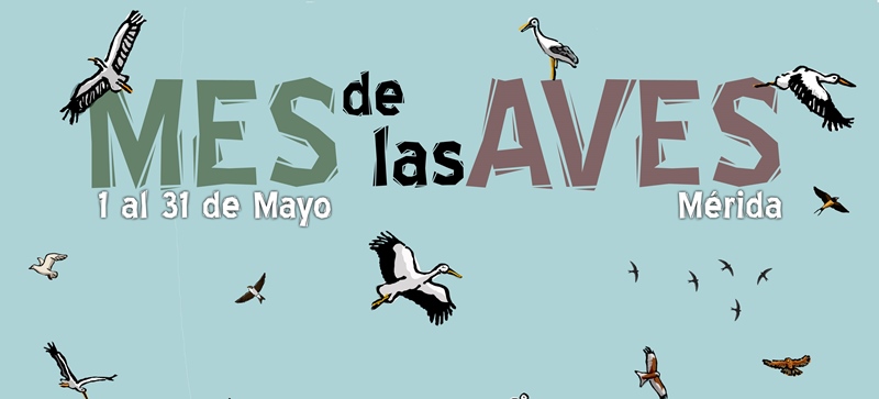 Mes de las Aves 2015
