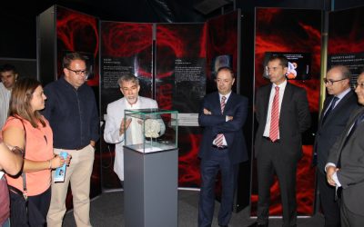 La exposición ‘Ilusionismo’ explica de forma didáctica el funcionamiento de nuestro cerebro