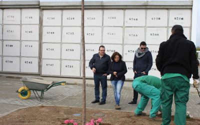 Trabajos de adecentamiento del cementerio con motivo de la festividad de Todos los Santos