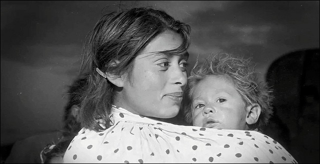 Exposición ‘Vidas Gitanas’