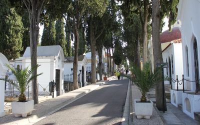 Adjudicada la construcción de 424 nichos y la mejora de los aseos del Cementerio Municipal