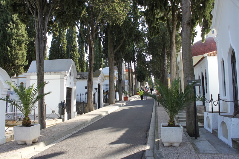 cementerio-municipal