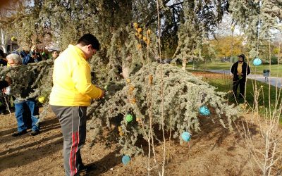 Un árbol navideño ecológico en el marco del Plan Urban