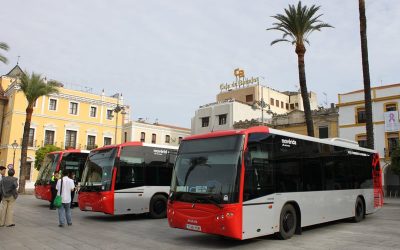 Una comisión municipal analizará los cambios en las líneas de autobuses urbanos