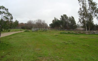 Se plantarán 500 árboles en la zona de la Isla y en otras zonas verdes