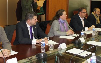 Hoy se ha constituido el Consejo de Capitalidad, que integran representantes de la Junta y Ayuntamiento