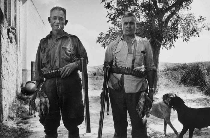 cazando-imagenes