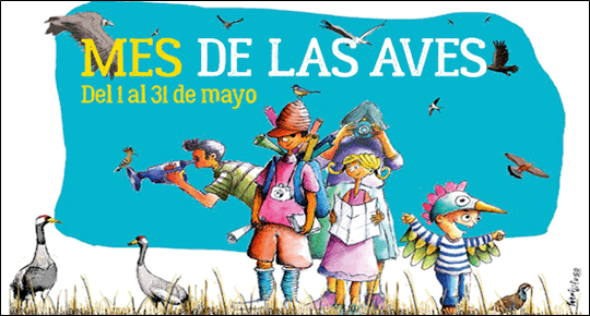 banner-mes-aves