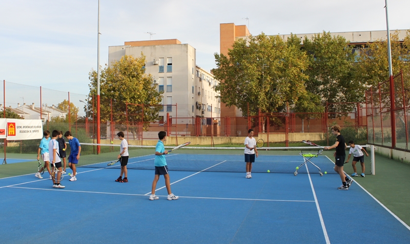 Tenis