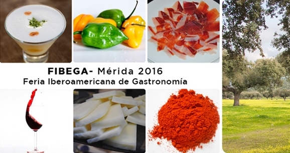 fibega