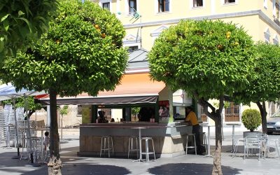 Adjudicada la explotación de los cuatro kioscos de la Plaza de España