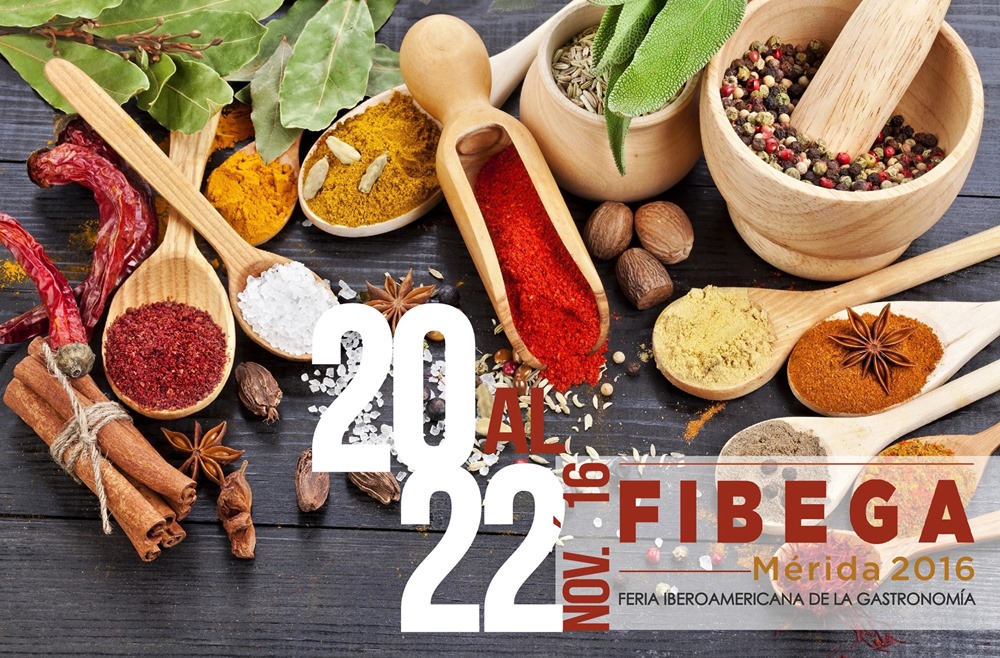 fibega2