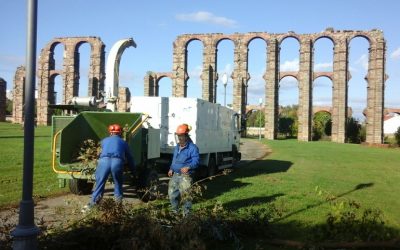 El lunes comienza el plazo para inscribirse en el Plan de Empleo Social