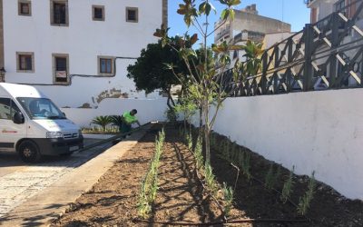 El de Mérida es de los pocos ayuntamientos que ha eliminado el glifosato como herbicida