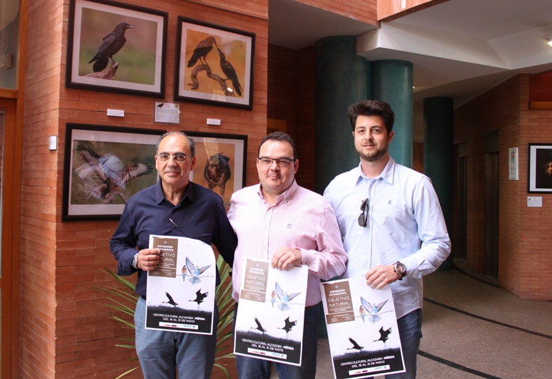 mes de las aves