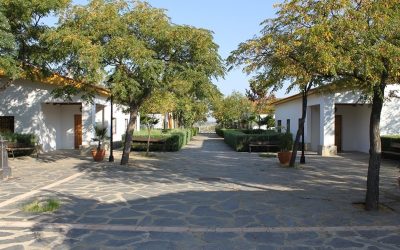 Mérida acogerá del 11 al 15 de agosto el Encuentro Nacional de Menores de Triatlón