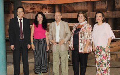 Mérida acoge a finales de octubre la XXII Escuela de Otoño de la Plataforma del Voluntariado de España