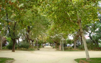 El Ayuntamiento restringe el uso del agua en riegos y fuentes pero no hay riesgo en el consumo de los hogares