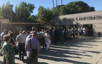 El número de visitas durante el puente aumenta en un 44% con respecto al año pasado