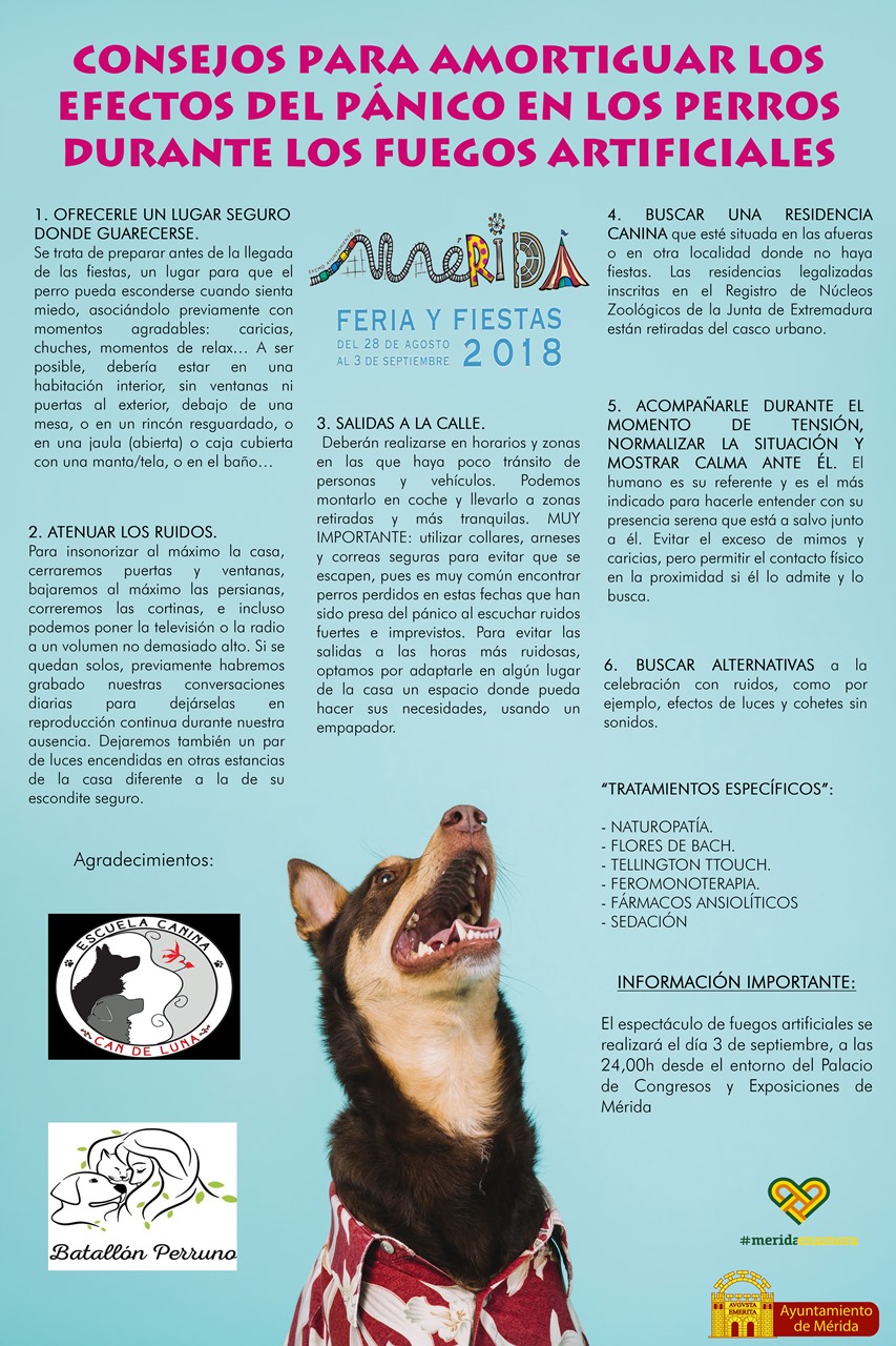 consejos-perros-fuegos