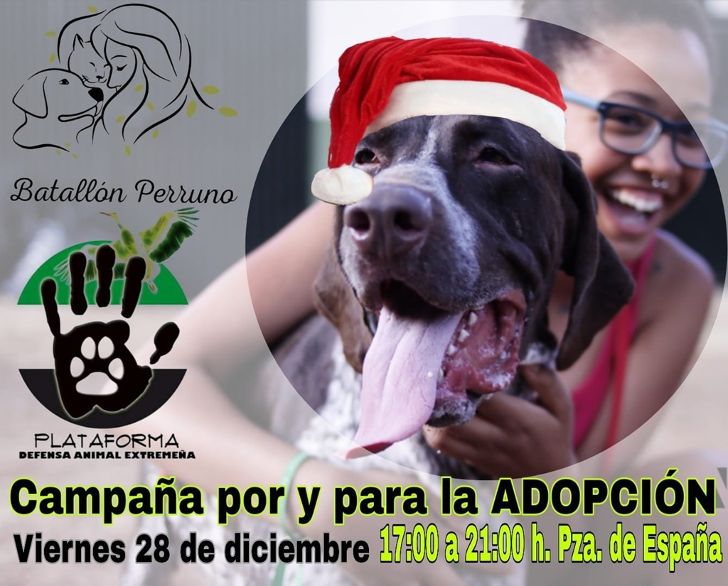 campana-adopcion-cartel
