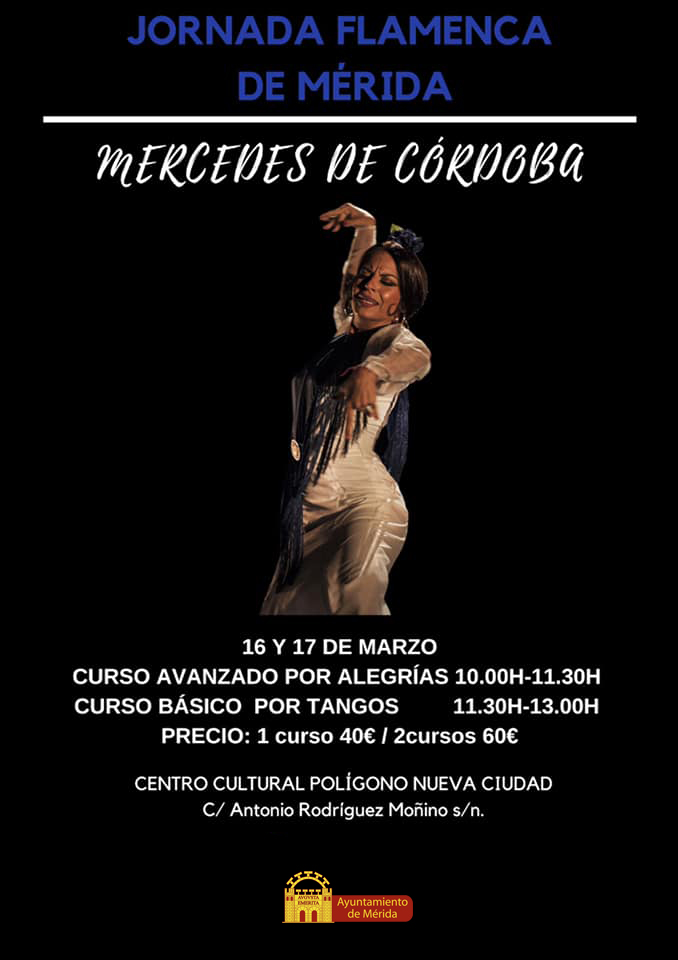 flamenco01