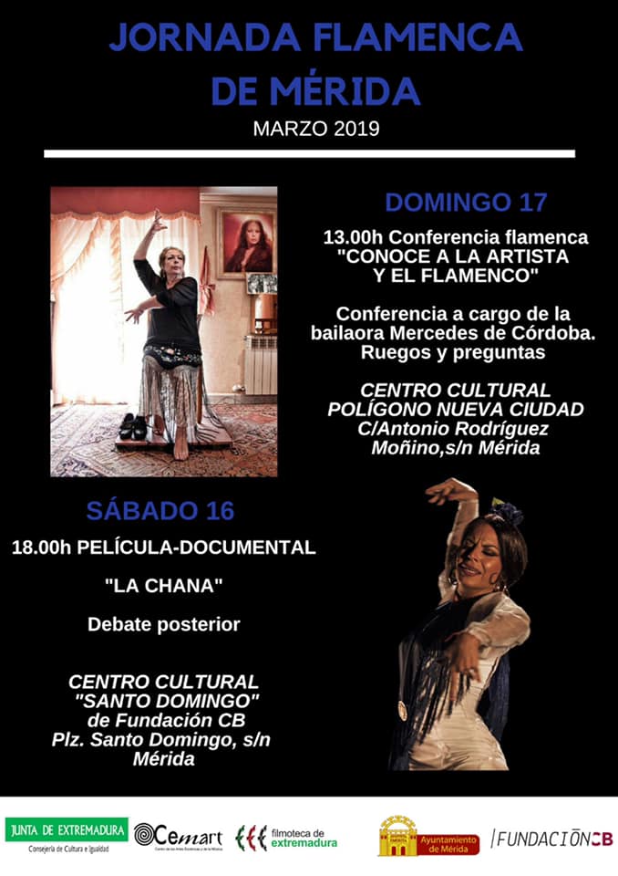 flamenco02