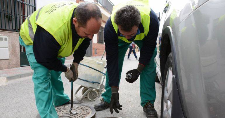 El próximo día 3 de mayo se inicia la campaña oficial de desratización