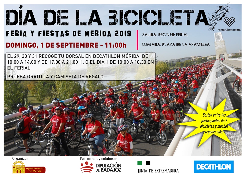 dia bicicleta19