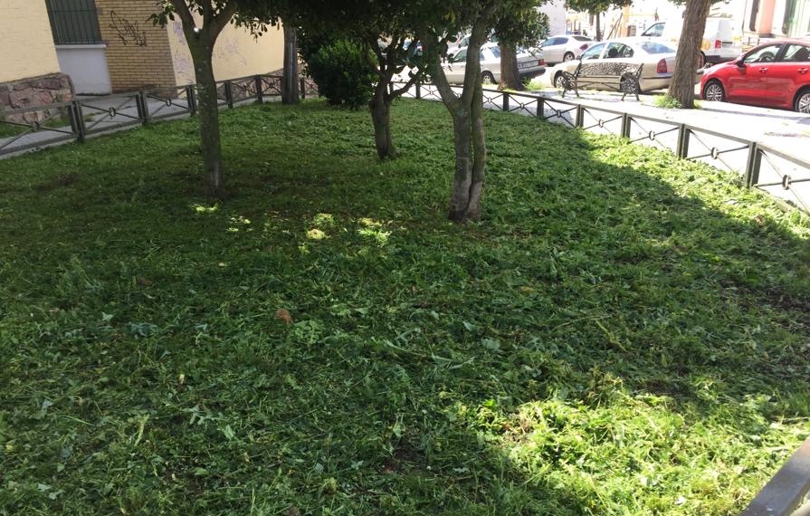 Se inicia la campaña de desbroce en distintas zonas de la ciudad