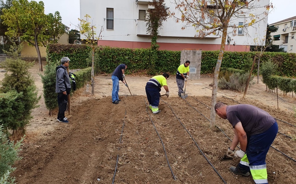 La delegación de Educación convoca a los colegios a adherirse al Proyecto de Huertos Escolares