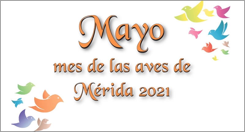 2021-mes-aves-peq