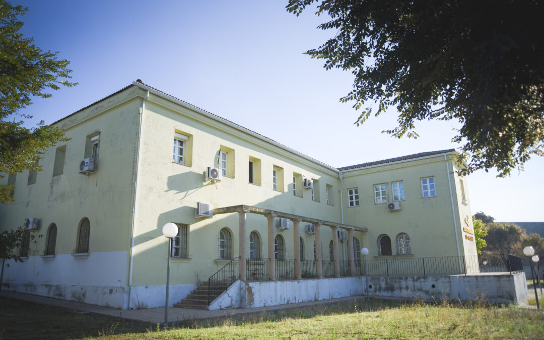 El Ayuntamiento cede un solar a Down Mérida para el desarrollo de actividades deportivas