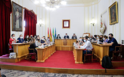 El Pleno Municipal aprueba una declaración institucional de armonización de la política municipal a la Convención Internacional sobre Derechos de las Personas con Discapacidad