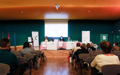 Inauguradas las VI Jornadas Divulgativas de AOEX en Mérida