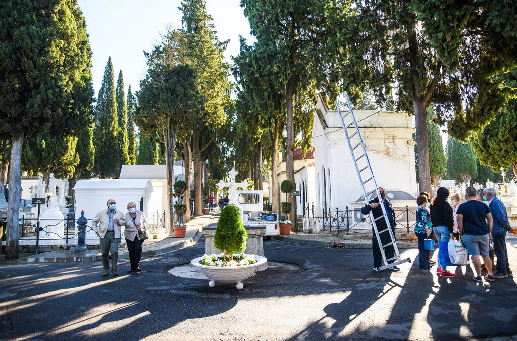 El Ayuntamiento ya tiene dispuesto el dispositivo de Todos los Santos y Día de Difuntos en el Cementerio
