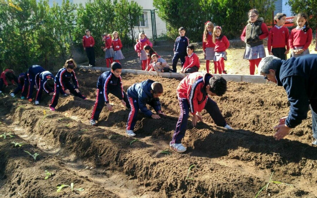 La Red de Huertos Educativos de Mérida participa en unas jornadas nacionales para intercambiar experiencias