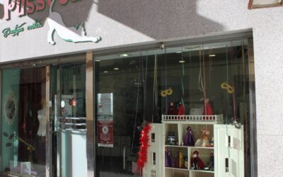 Abierto el plazo de inscripción para participar en el Concurso de Escaparates del Carnaval Romano
