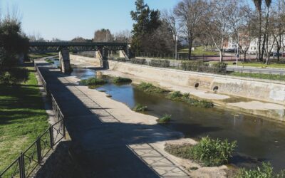 El lunes comienzan los trabajos de limpieza del cauce del Albarregas desde San Juan hasta la desembocadura del Guadiana