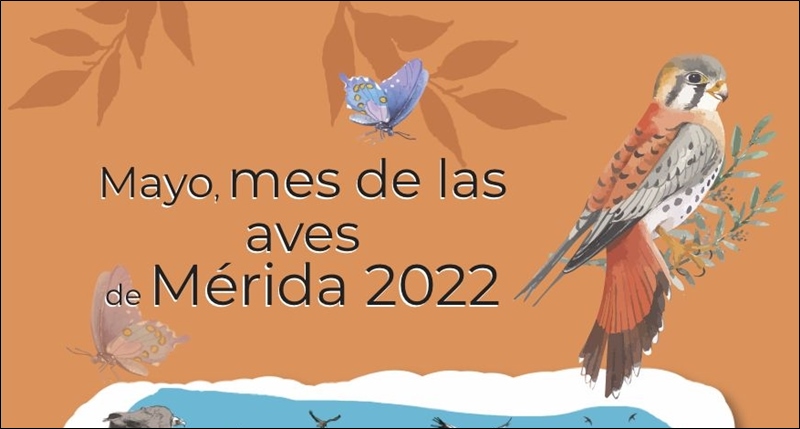 2022-mesa-aves-peq