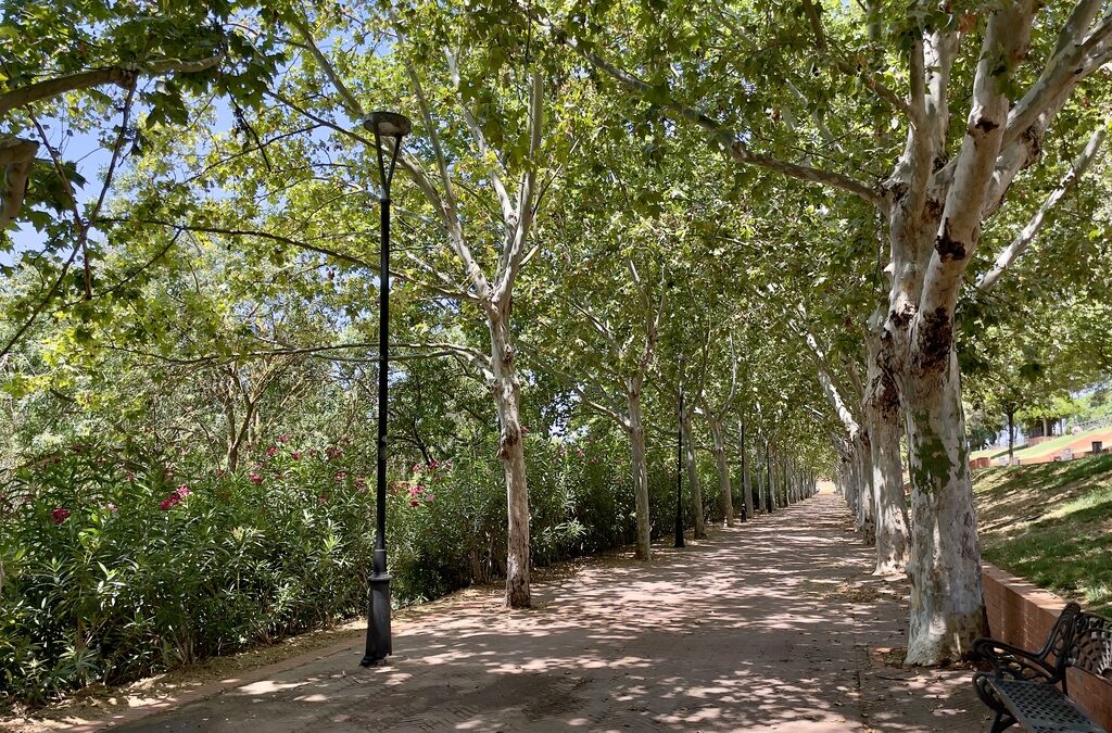 Adjudicado el contrato para sustituir las 637 luminarias de los márgenes del Guadiana, Albarregas y camino perimetral de Proserpina por tecnología Led