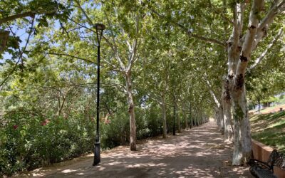 Adjudicado el contrato para sustituir las 637 luminarias de los márgenes del Guadiana, Albarregas y camino perimetral de Proserpina por tecnología Led