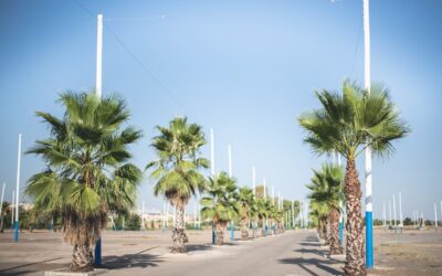 El próximo viernes finaliza el plazo para solicitar la adjudicación de parcelas para casetas, puestos y atracciones en el recinto ferial