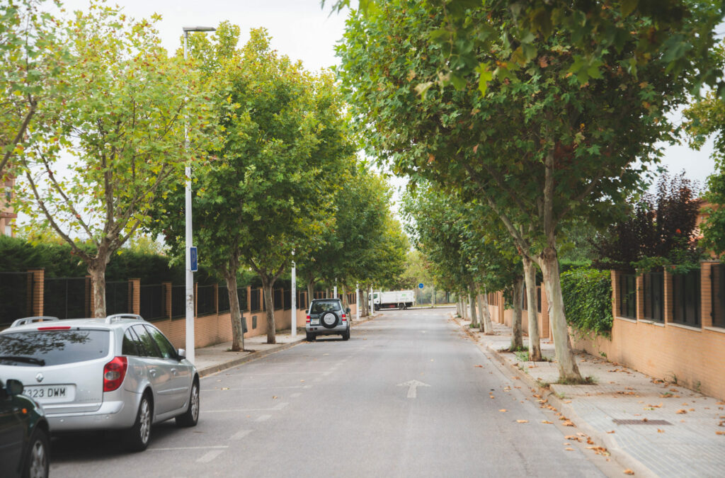 El Gobierno local colocará nuevo arbolado y reparará el acerado en decenas de calles de toda la ciudad