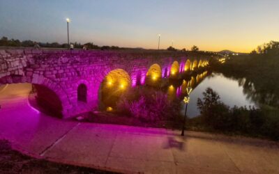 La fachada del Ayuntamiento, la fuente de la Plaza y algunos monumentos se iluminan esta semana en color rosa por el Día Mundial de la lucha contra Cáncer de mama