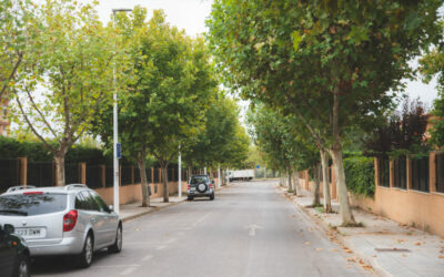 El Gobierno local colocará nuevo arbolado y reparará el acerado en decenas de calles de toda la ciudad