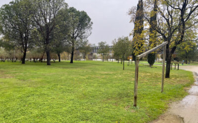 Mérida contará con una nueva zona de Calistenia de casi mil metros cuadrados tras adjudicar este espacio deportivo a la empresa Avaqvs Emerita con una inversión de 332.750 euros
