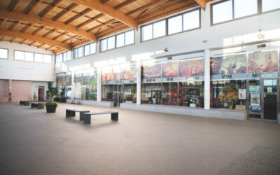 Un ambicioso proyecto convertirá el Museo Abierto de Mérida en un gran centro dinamizador del turismo