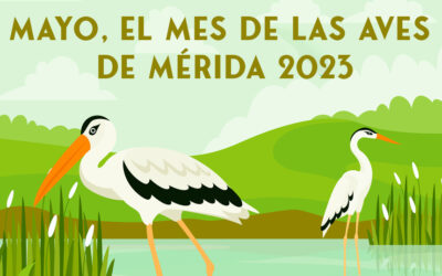 1.496 escolares de Educación Primaria participarán, durante el mes de mayo, en las actividades del “Mes de las Aves”